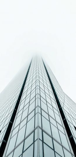 全面屏手机壁纸-城市高楼