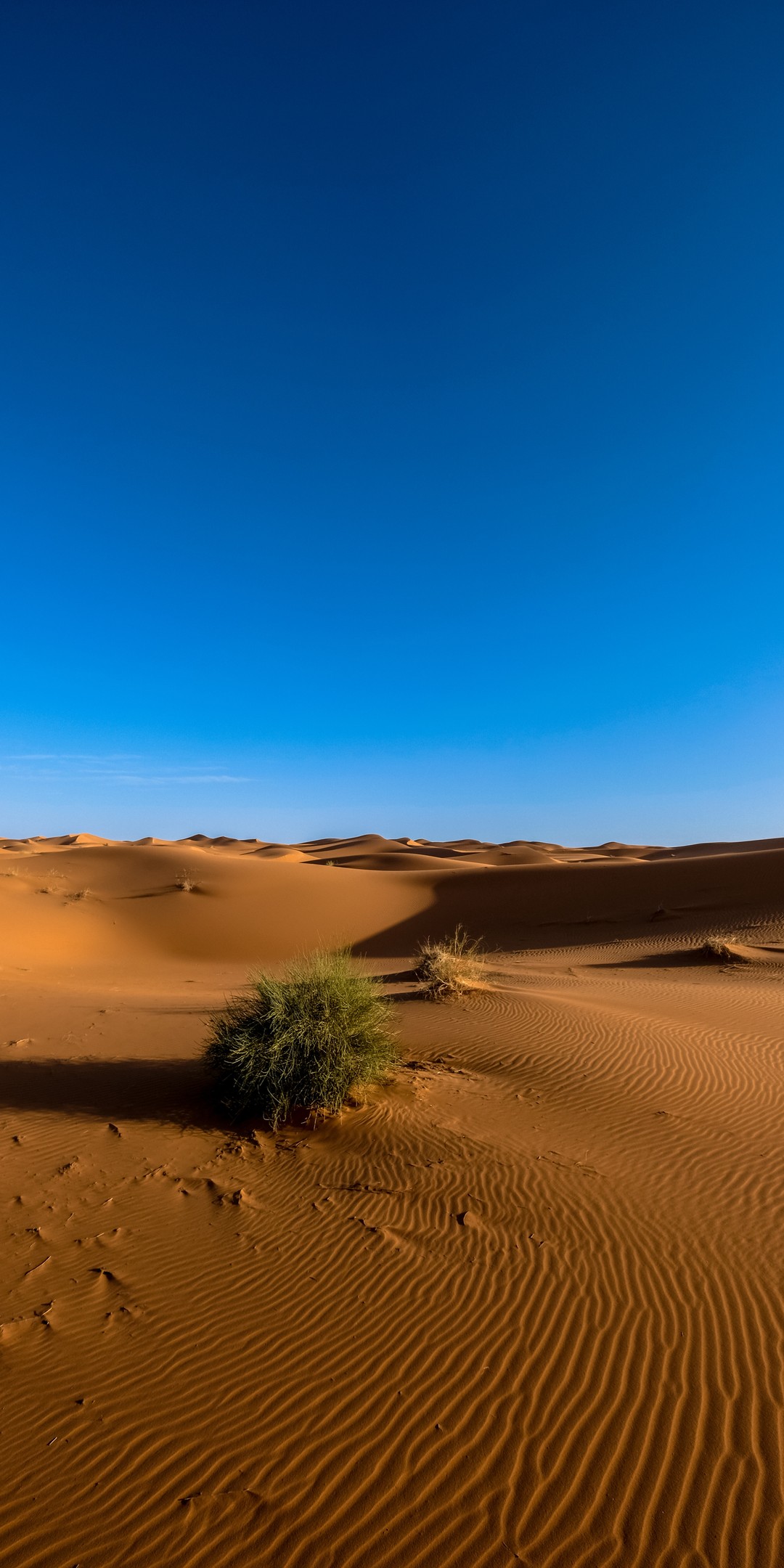 沙漠竖屏2160×1080壁纸
