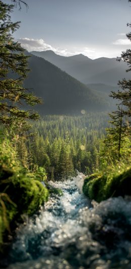 手机壁纸-山间溪流