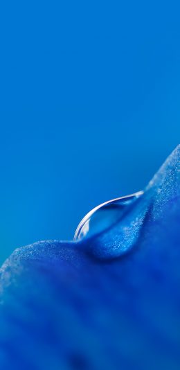 小米9手机壁纸-养眼的蓝色水滴