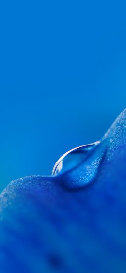 小米9手机壁纸-养眼的蓝色水滴