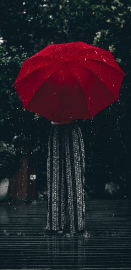 红伞和背影