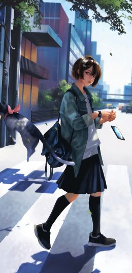 人行横道 女学生 手机 猫 4k手机壁纸竖屏动漫