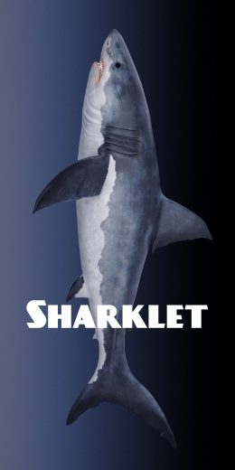 老罗的sharklet