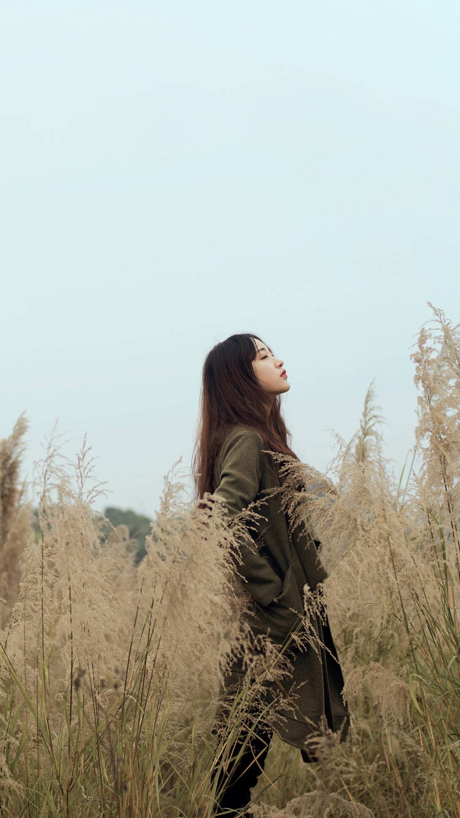 仰望 全面屏手机壁纸
