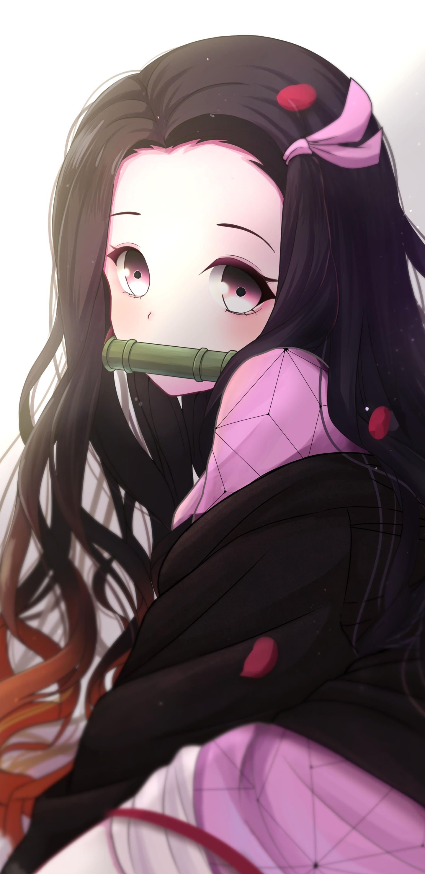 Demon Slayer: Kimetsu No Yaiba动漫壁纸
