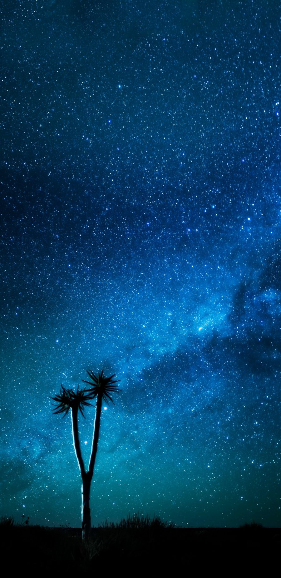 晚上的银河系星空壁纸图片 全面屏手机壁纸