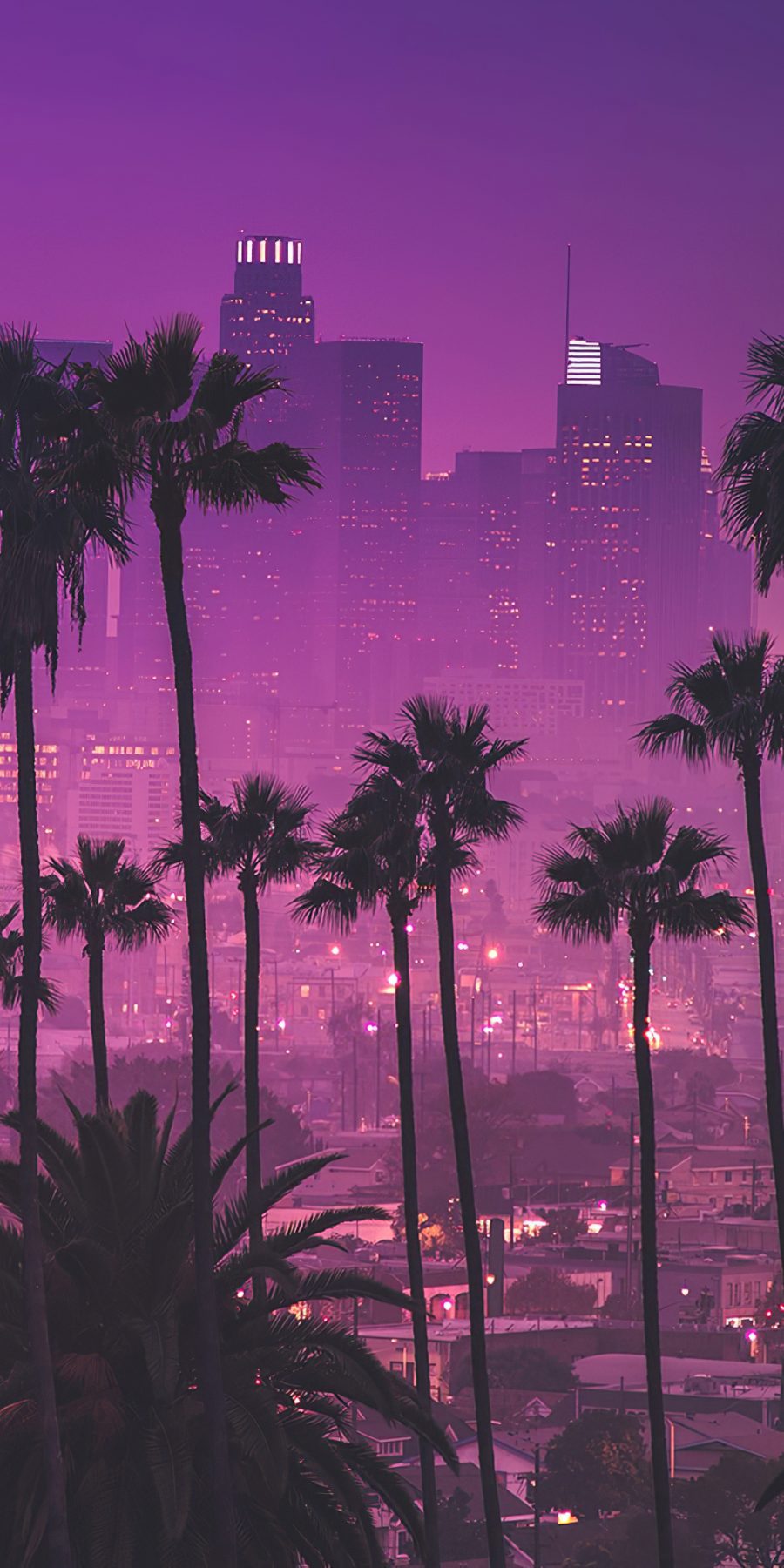 洛杉矶城市风景