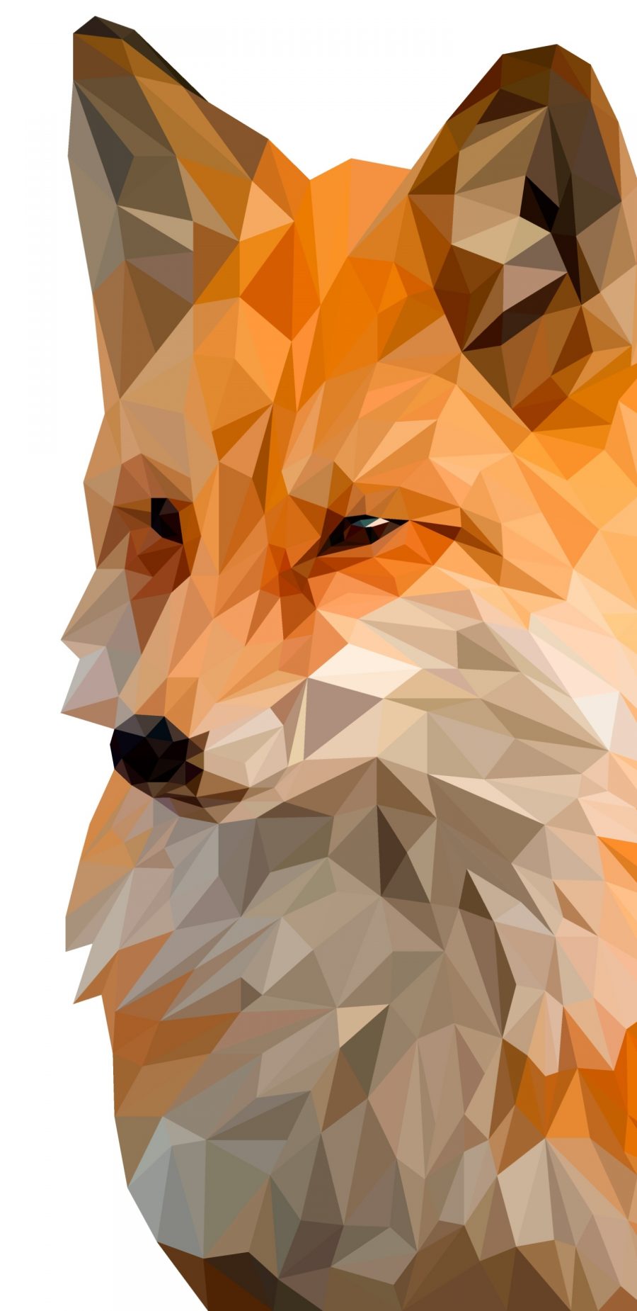 多边形设计 狐狸 2K手机壁纸
