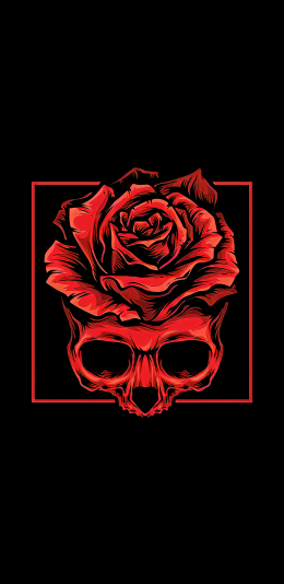 黑色OLED壁纸 红玫瑰
