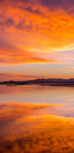 醉人的云湖倒影，湖天一色，黄石国家公园黄昏景色手机壁纸图片