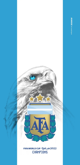 阿根廷冠军