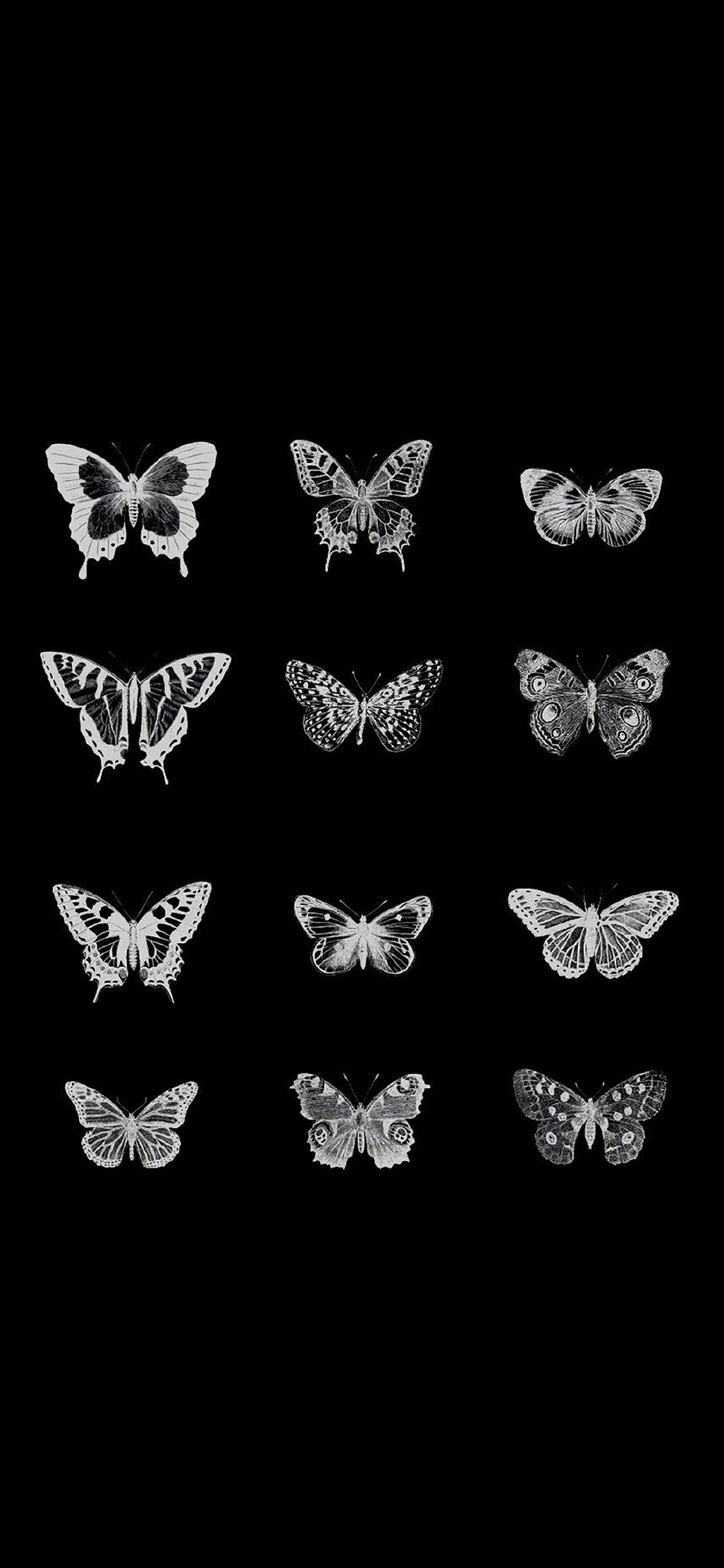 2436×1125]黑色背景蝴蝶元素黑白苹果手机动漫壁纸图片- 全面屏手机壁纸