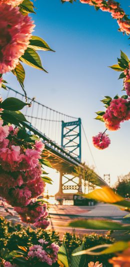 M oderss Com Wp Content Uploads Ios Iphone E