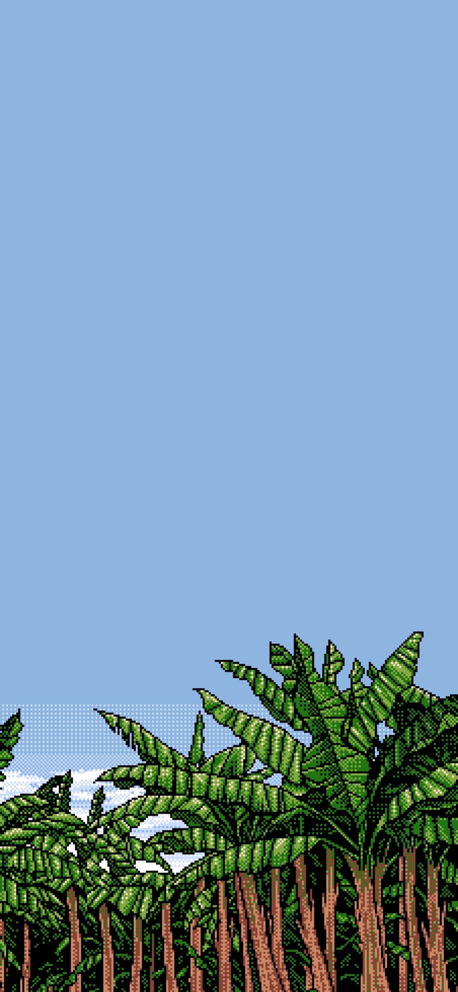 [2436×1125]像素 插图 风景 蓝天 椰树（取自微博：Wallpaper收藏家） 苹果手机动漫壁纸图片