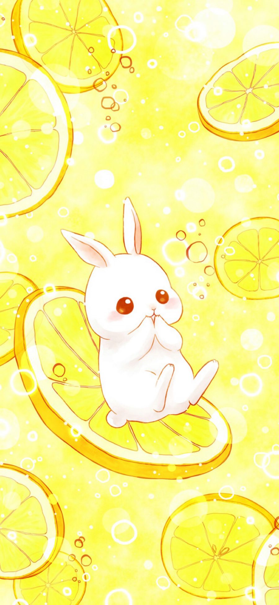 [2436×1125]卡通 兔子 柠檬 平铺 苹果手机动漫壁纸图片