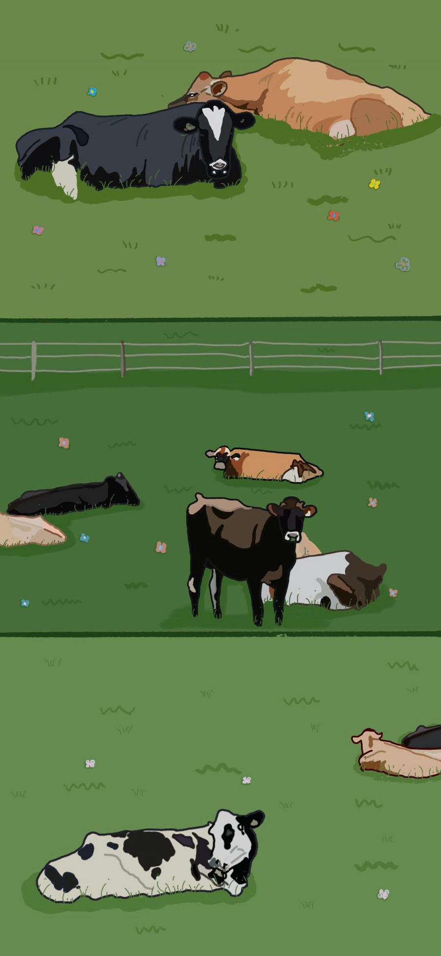 [2436×1125]卡通 插图 草地 牛群 苹果手机动漫壁纸图片