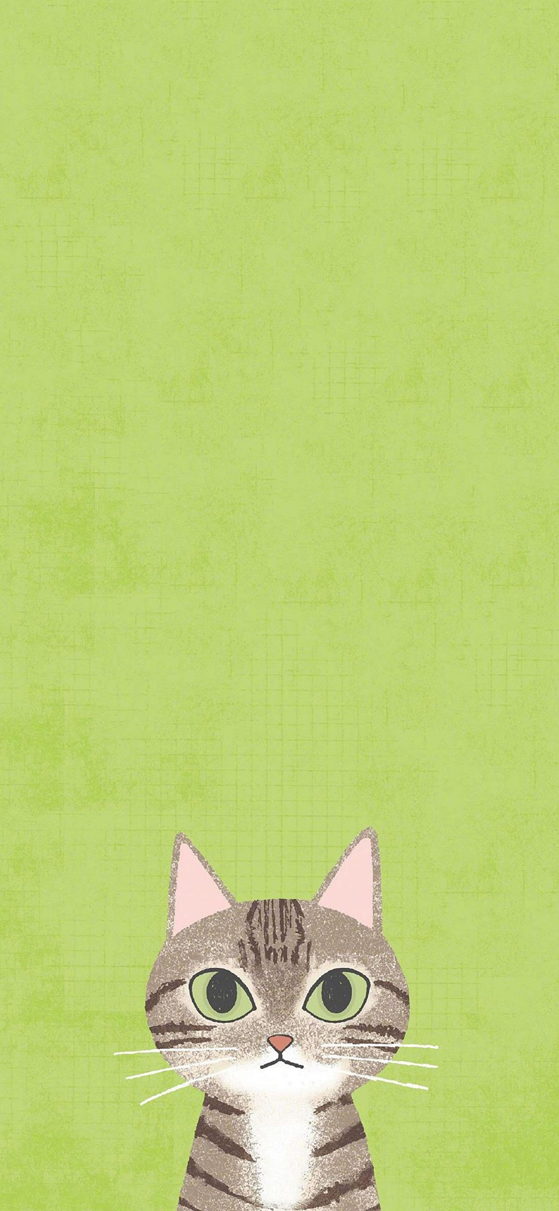 [2436×1125]卡通 猫咪  绘画 可爱 绿底 苹果手机动漫壁纸图片