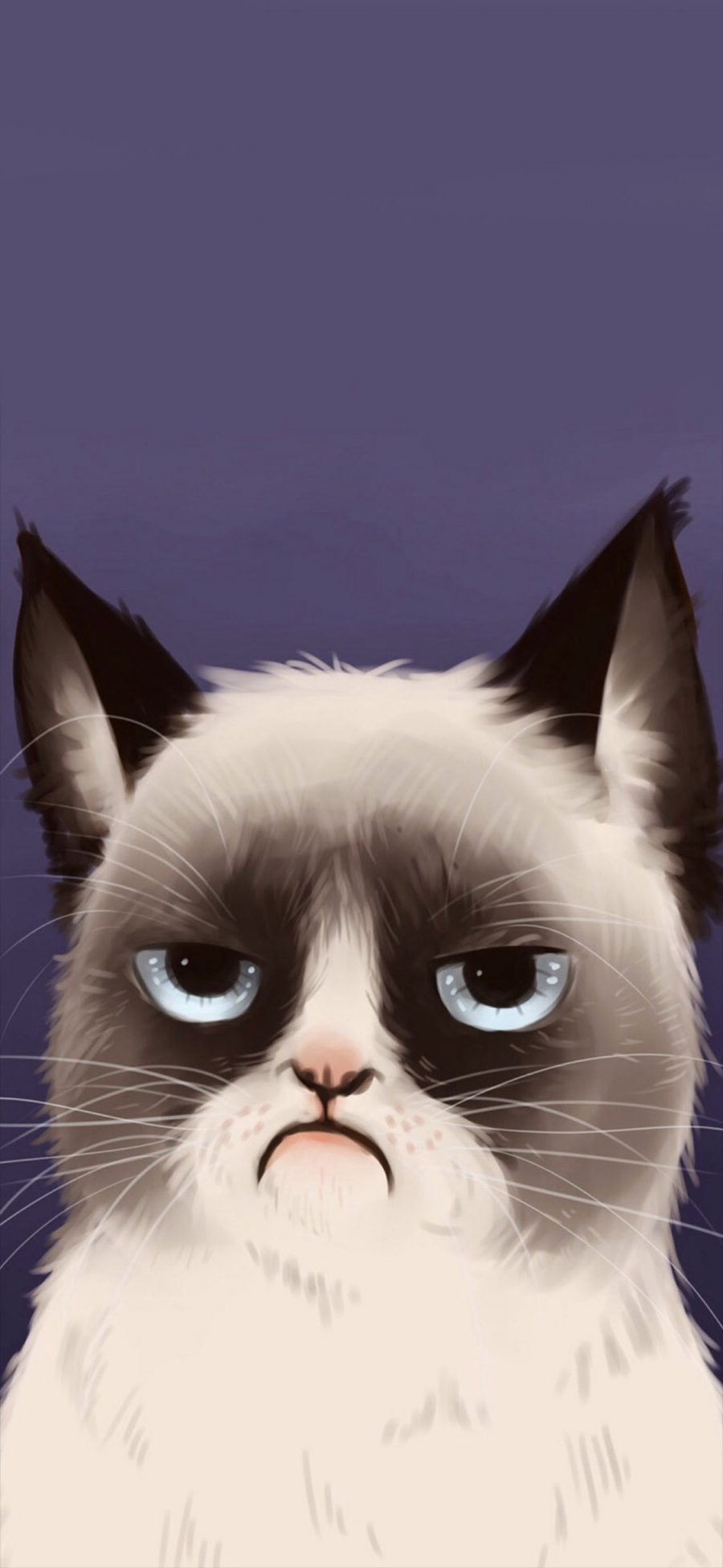 [2436×1125]可爱 猫咪 动漫 彩色 手绘 苹果手机动漫壁纸图片