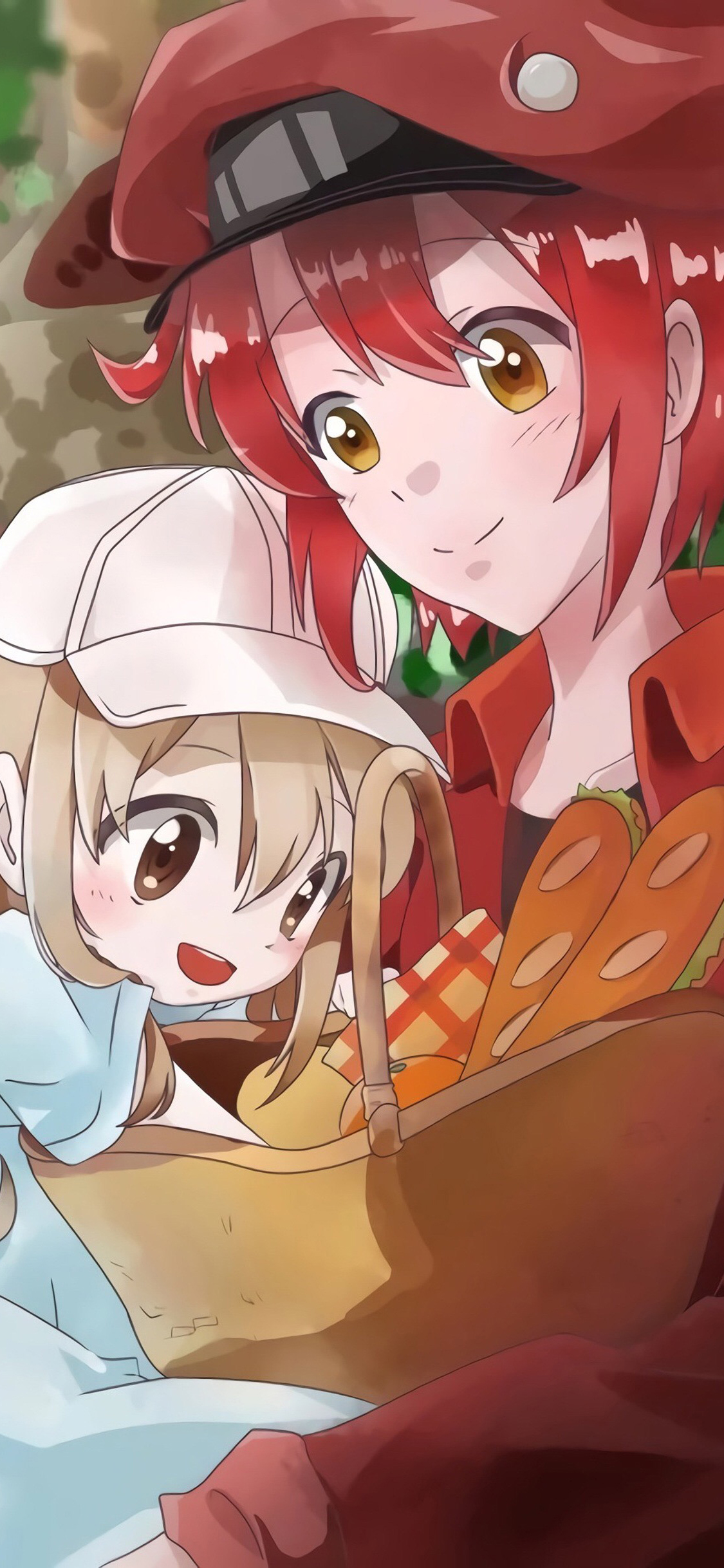 [2436×1125]工作细胞 漫画 血小板 红细胞 苹果手机动漫壁纸图片