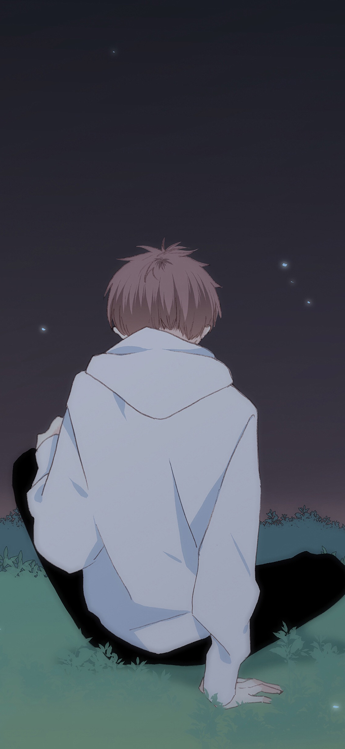 [2436×1125]怦然心动 国产漫画 少年 夜 背影 苹果手机动漫壁纸图片