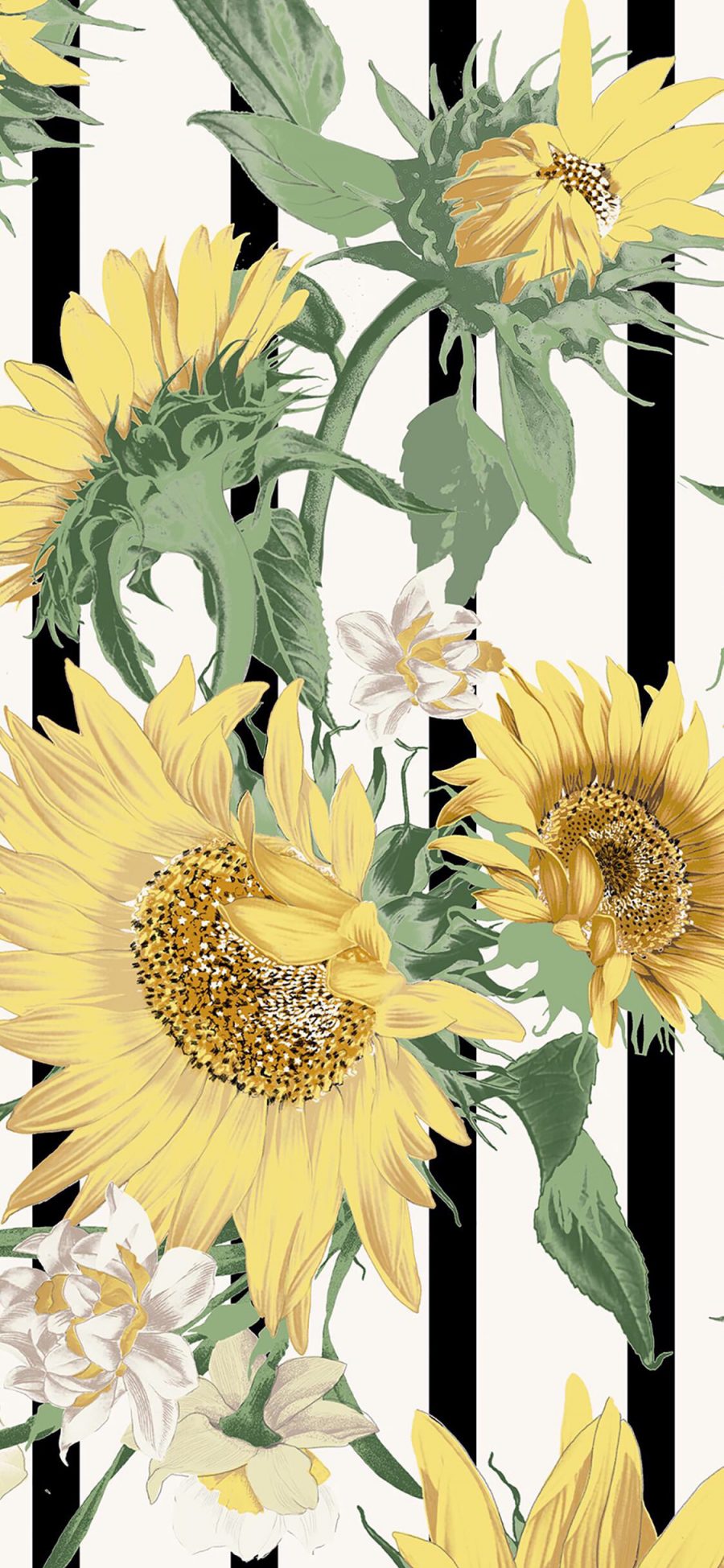 [2436×1125]插图 向日葵 白色鲜花 苹果手机动漫壁纸图片