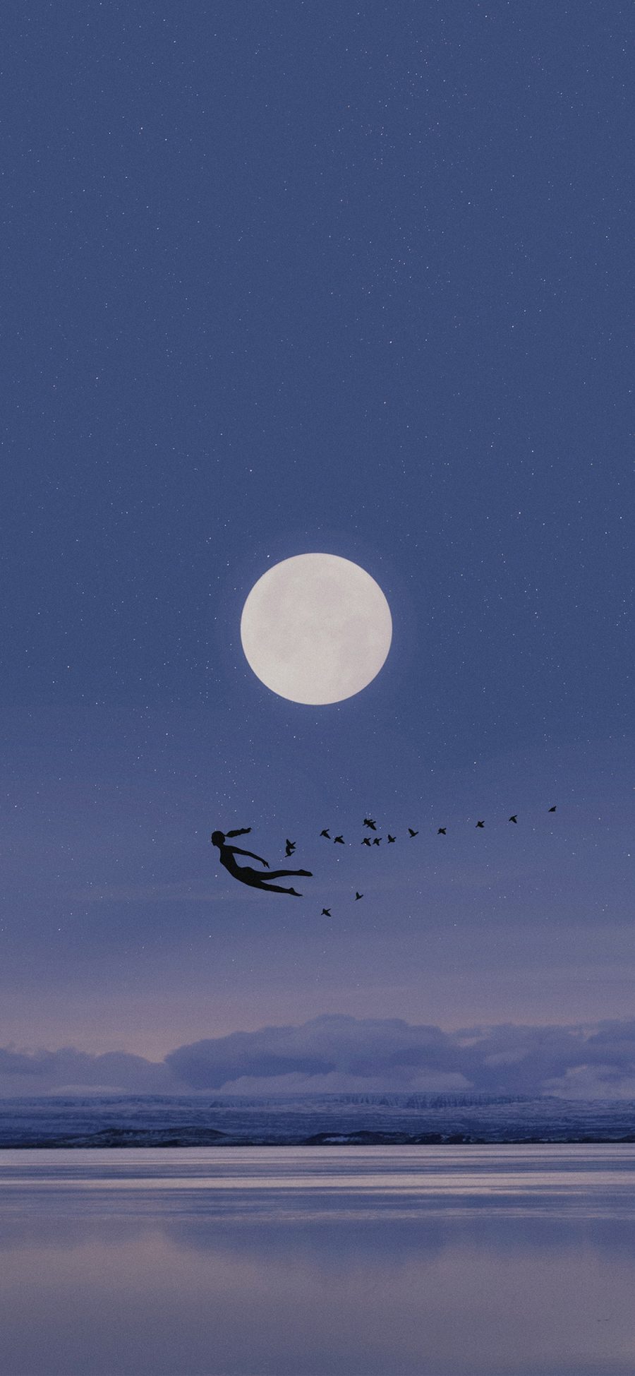 [2436×1125]插图 星空 夜景 月亮 飞鸟 苹果手机动漫壁纸图片