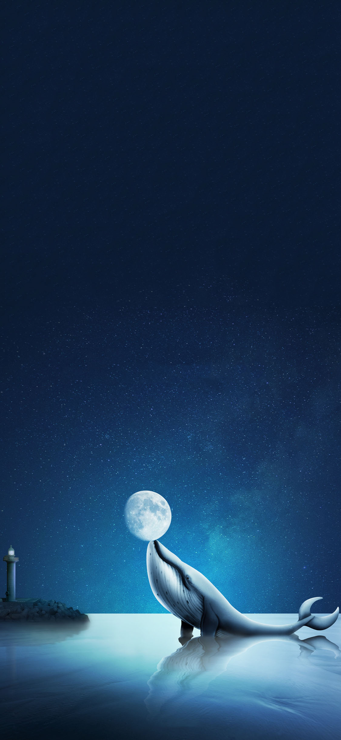 [2436×1125]插图 星空 夜景 鲸鱼 梦幻 苹果手机动漫壁纸图片