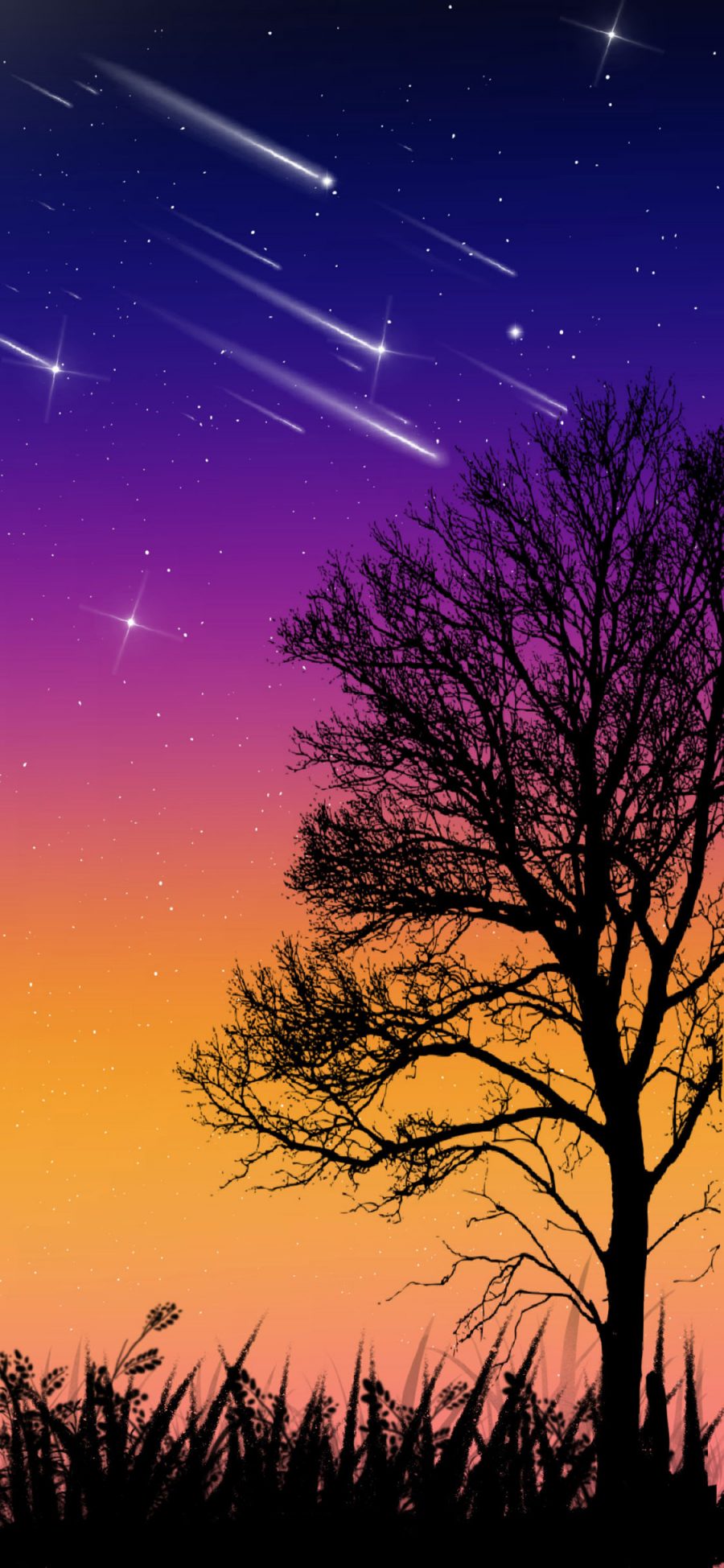 [2436×1125]插图 星空夜景 流星 树木 苹果手机动漫壁纸图片