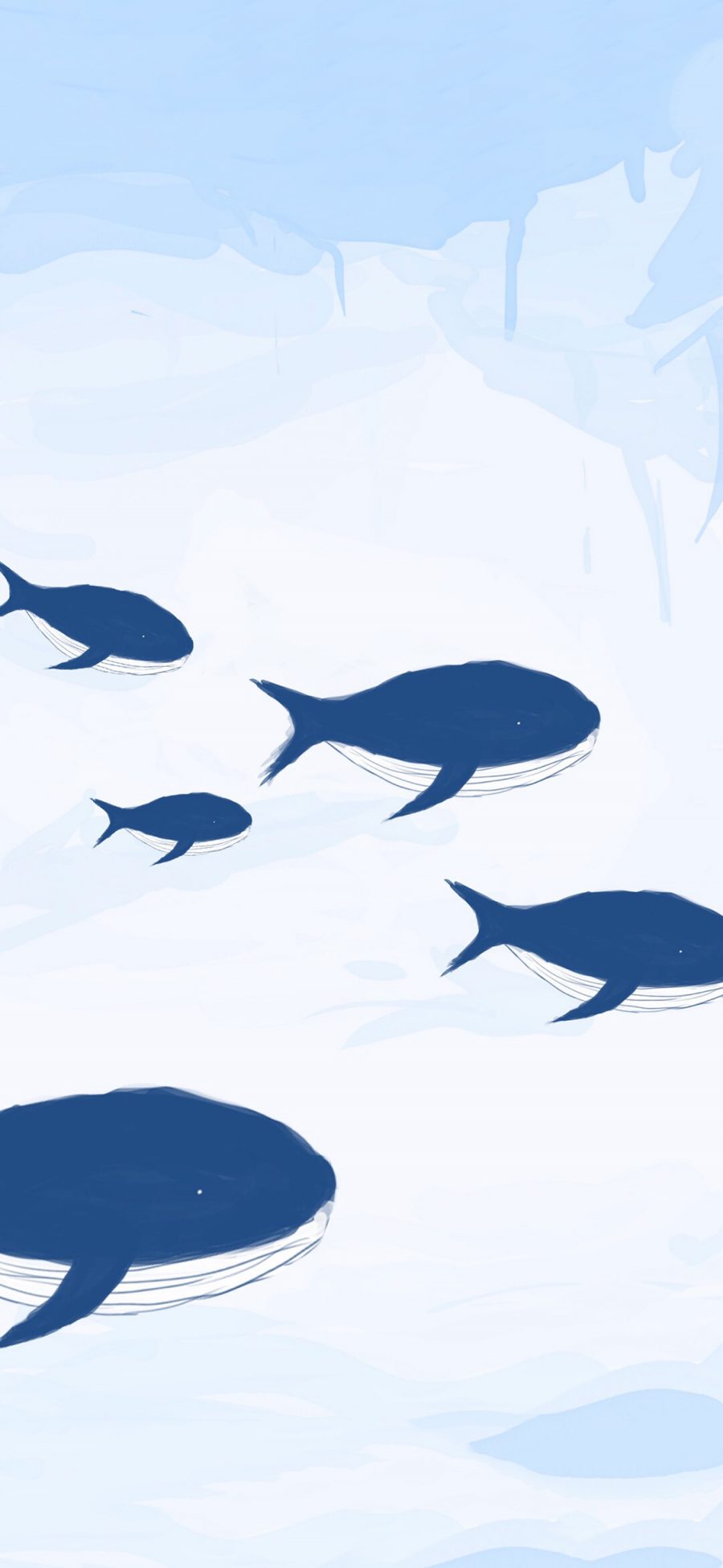 [2436×1125]插图 鲸鱼 蓝色 大小 苹果手机动漫壁纸图片