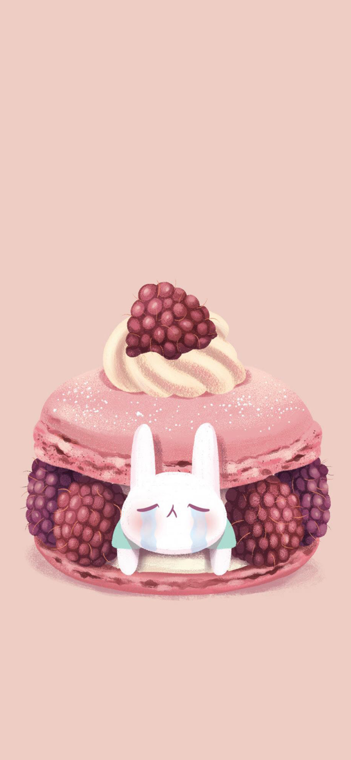 [2436×1125]插画 粉 趣味 兔子 蔓越莓 苹果手机动漫壁纸图片