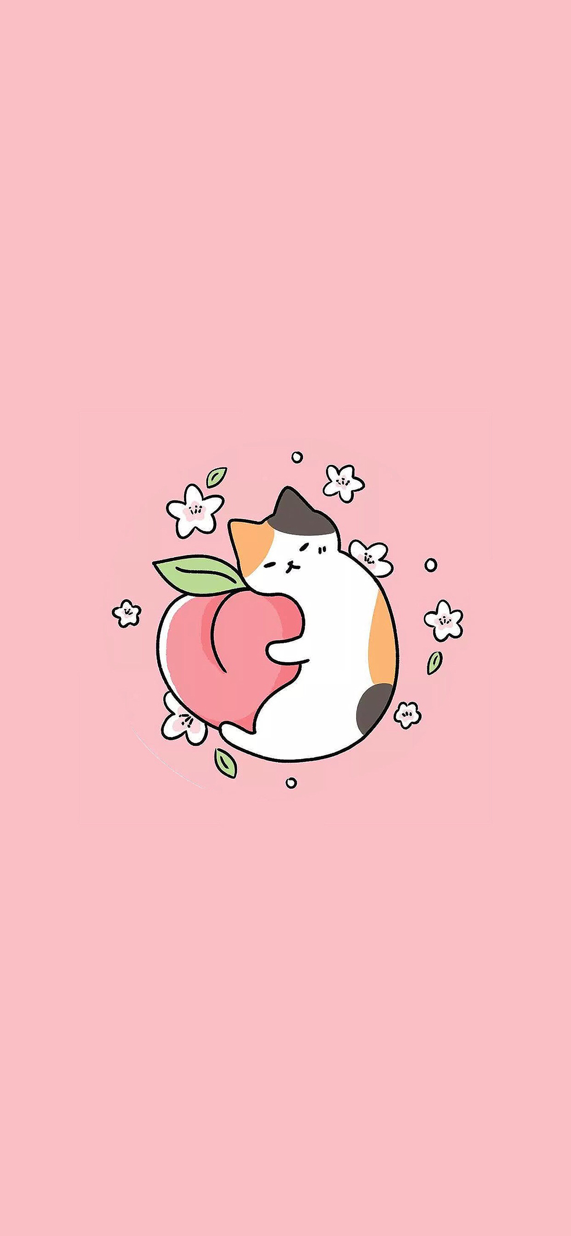 [2436×1125]猫咪 粉 可爱 卡通 苹果手机动漫壁纸图片
