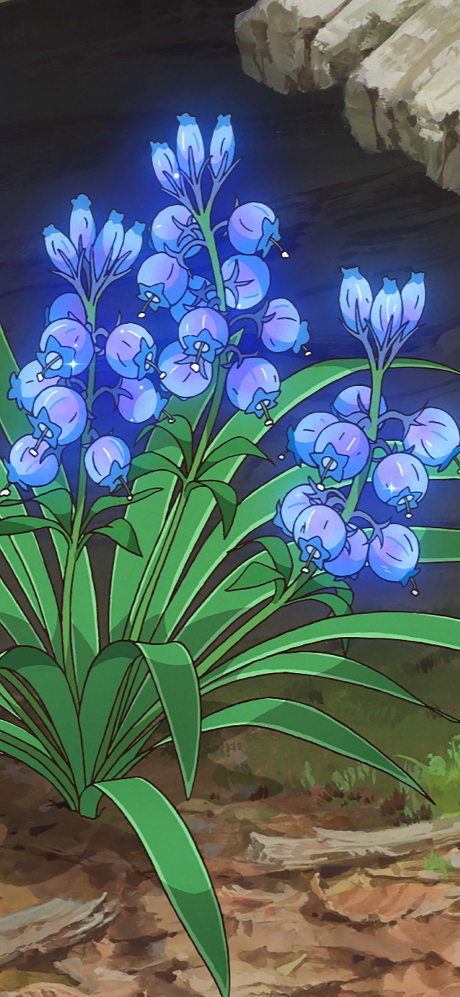 [2436×1125]玛丽与魔女之花 日本 动画 漫画 电影 苹果手机动漫壁纸图片