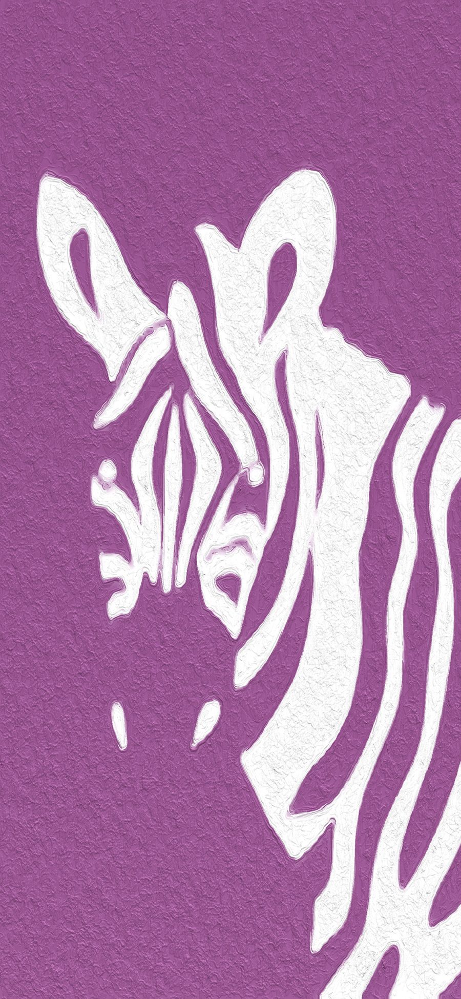 [2436×1125]紫色背景 条纹 斑马 苹果手机动漫壁纸图片