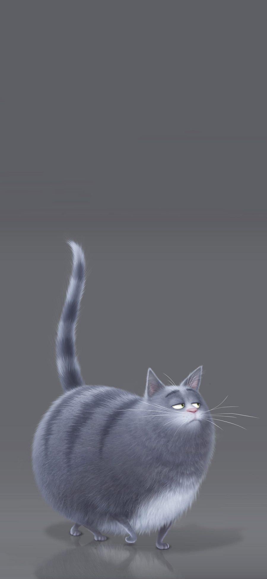 [2436×1125]美国 动画 爱宠大机密 冰冰 虎斑猫 苹果手机动漫壁纸图片