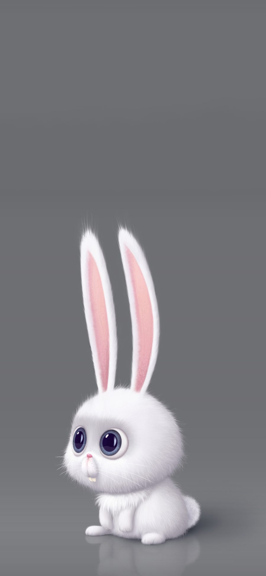 [2436×1125]美国 动画 爱宠大机密 小白 兔子 苹果手机动漫壁纸图片