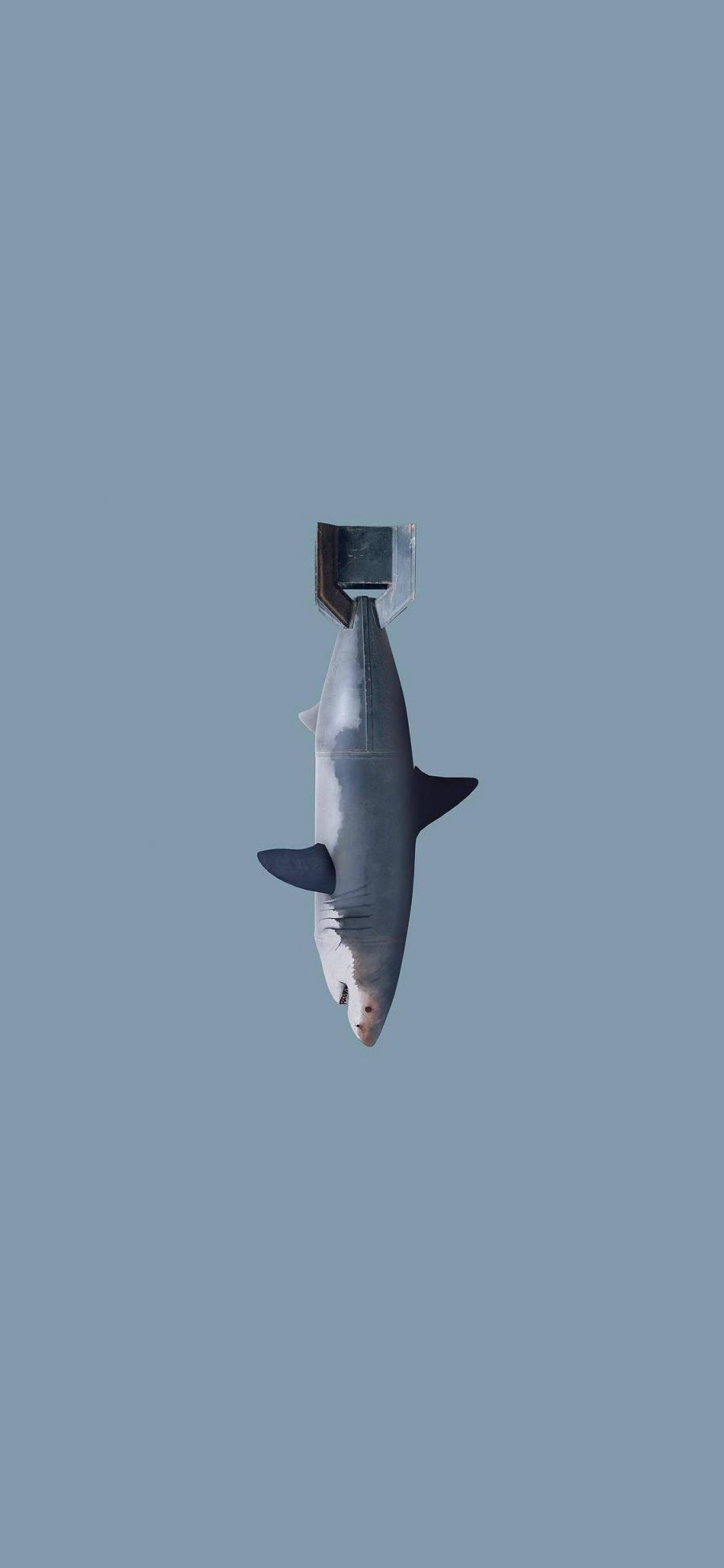 [2436×1125]蓝色背景 鲨鱼 卡通 导弹 苹果手机动漫壁纸图片