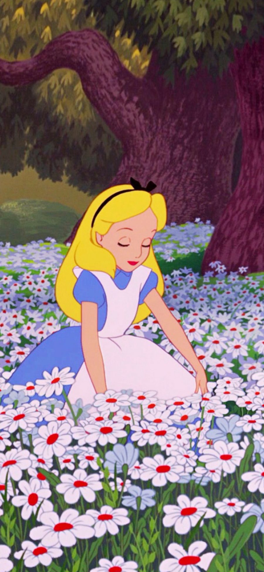 [2436×1125]迪士尼 动画 爱丽丝梦游仙境 爱丽丝公主 苹果手机动漫壁纸图片