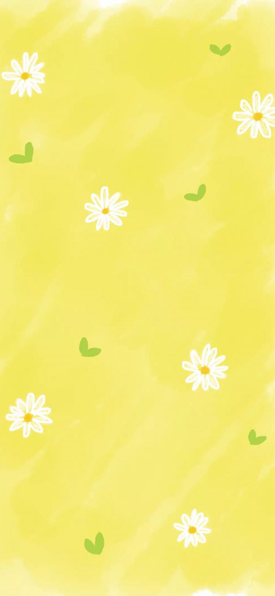 [2436×1125]黄色 背景 花朵 菊花 平铺 苹果手机动漫壁纸图片