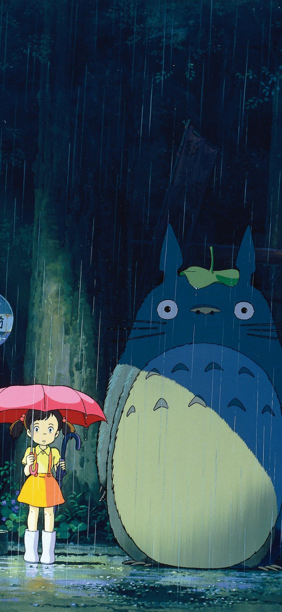 [2436×1125]龙猫 宫崎骏 日本 漫画 雨 苹果手机动漫壁纸图片