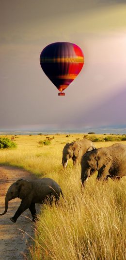 [2436x1125]大象 户外 热气球 草原 苹果手机壁纸图片