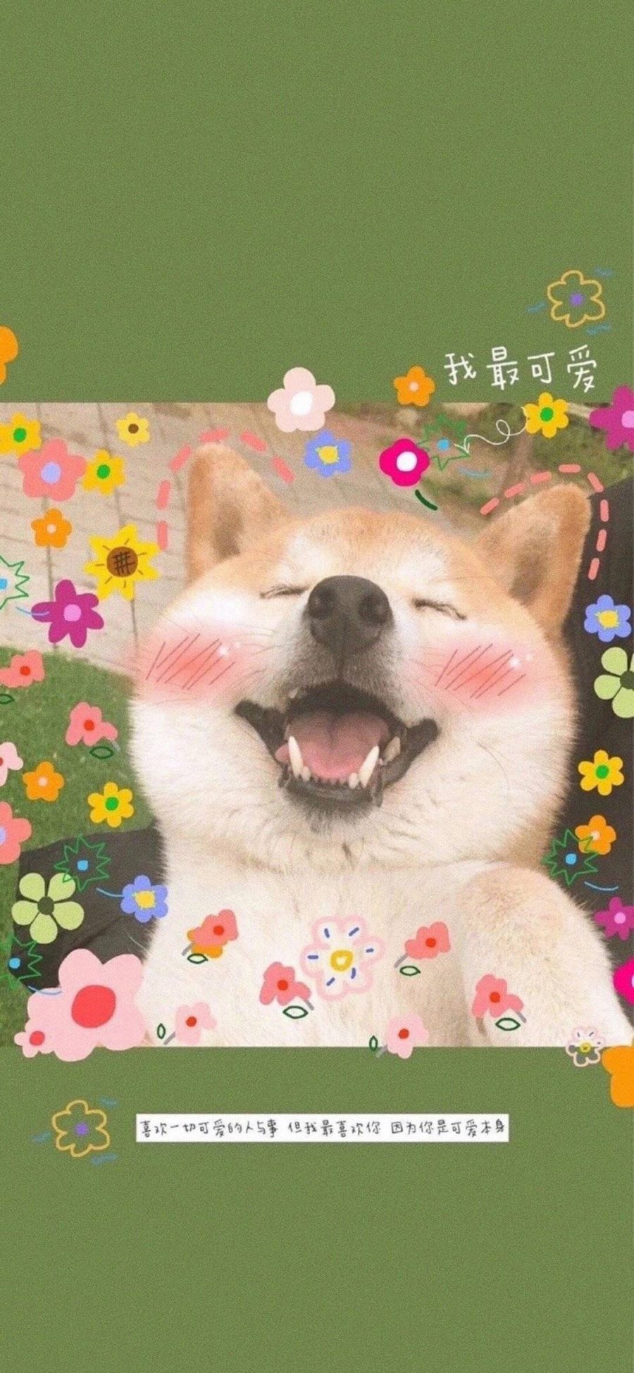 [2436×1125]宠物狗 柴犬 可爱 小花 苹果手机壁纸图片