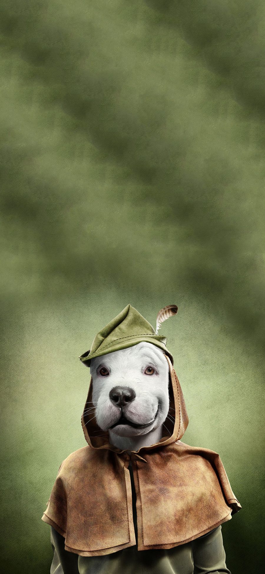 [2436×1125]宠物狗 王星 服饰 创意写真 苹果手机壁纸图片