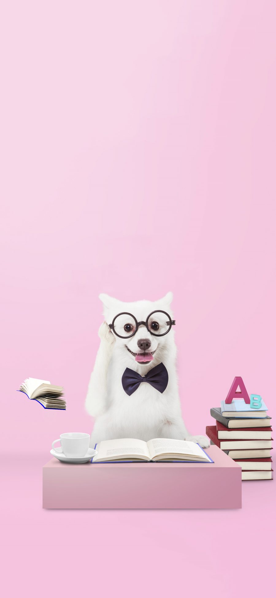 [2436×1125]宠物狗 白色 创意 写真 读书 苹果手机壁纸图片
