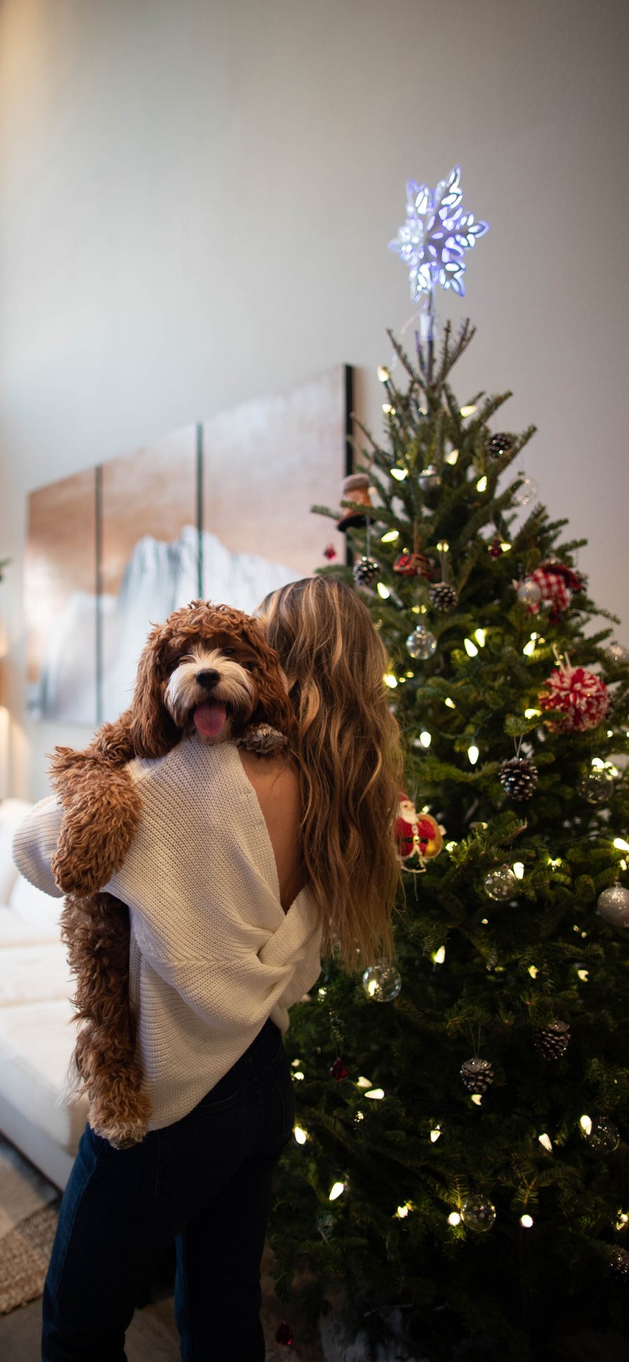 [2436×1125]家居 圣诞树 美女背影 宠物狗 苹果手机壁纸图片