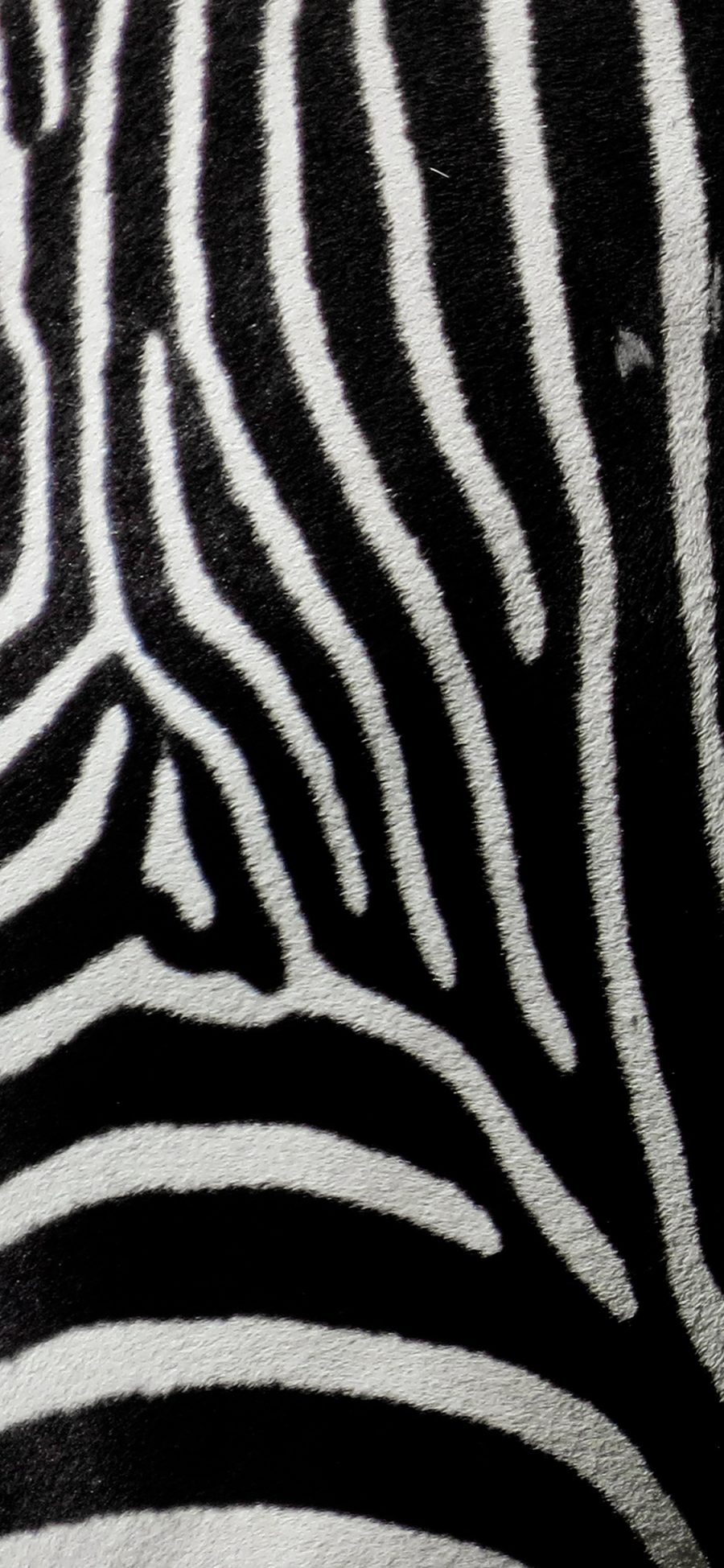[2436×1125]斑马 毛皮 黑白 条纹 线条 苹果手机壁纸图片