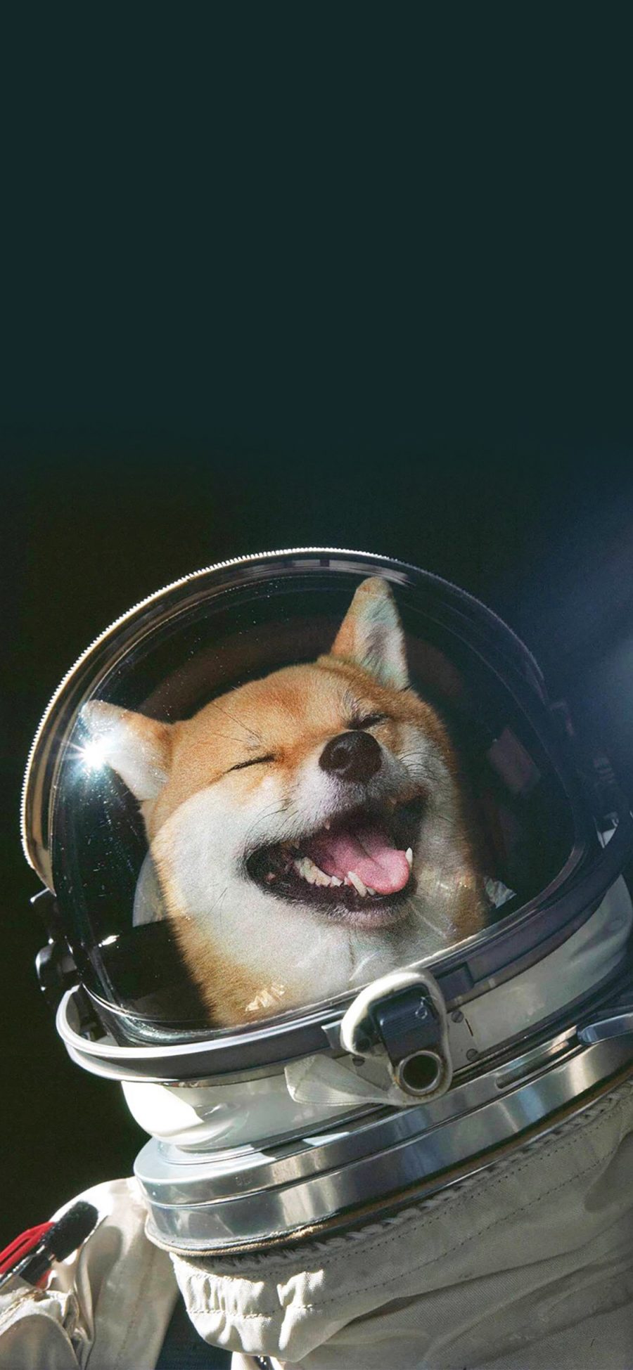 [2436×1125]柴犬 太空服 宇宙 宠物 汪星人 苹果手机壁纸图片