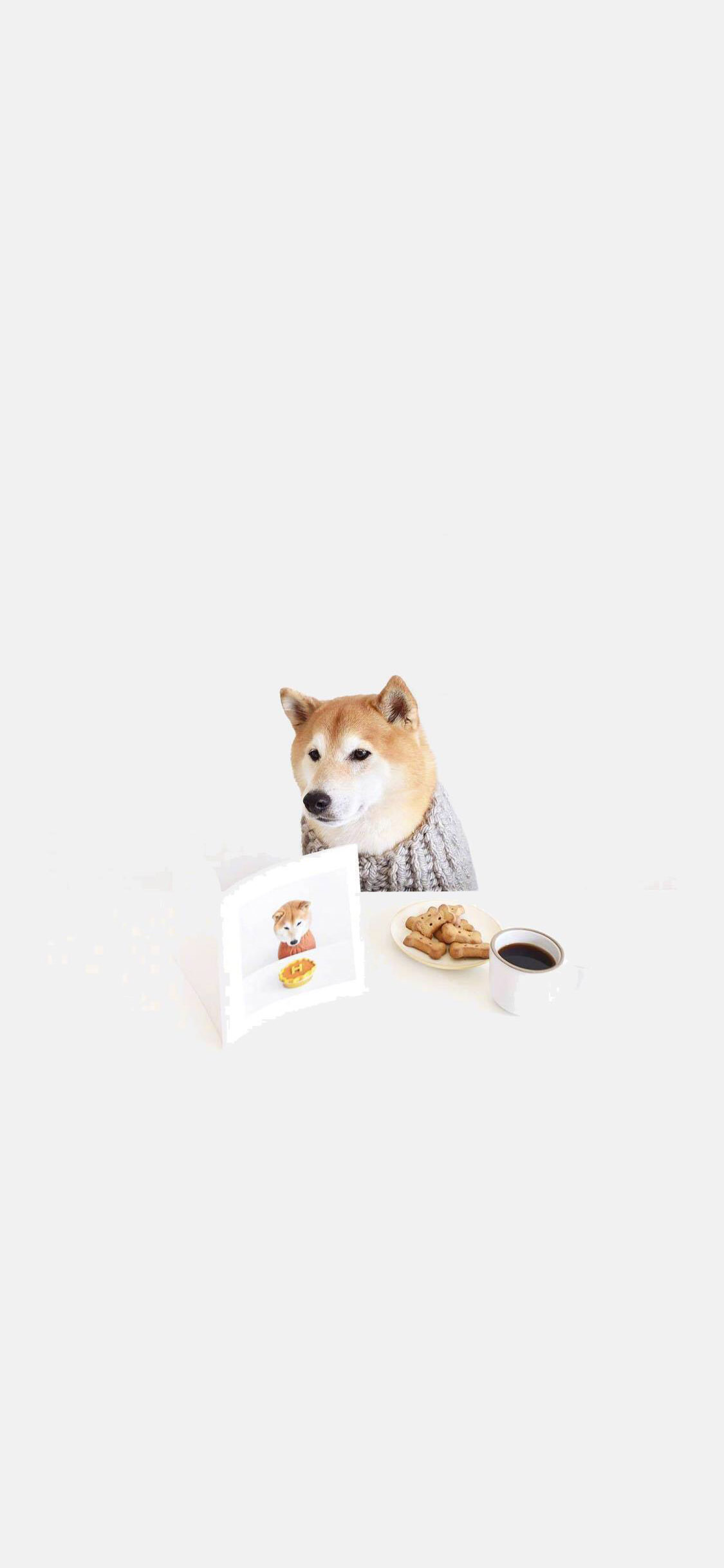 [2436×1125]柴犬 狗粮 阅读 下午茶 宠物 汪星人 苹果手机壁纸图片