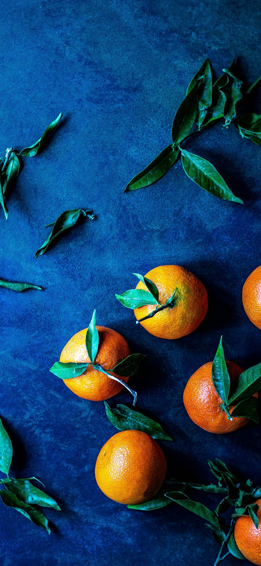 [2436×1125]橘子 柑橘 水果 枝叶 新鲜 苹果手机壁纸图片