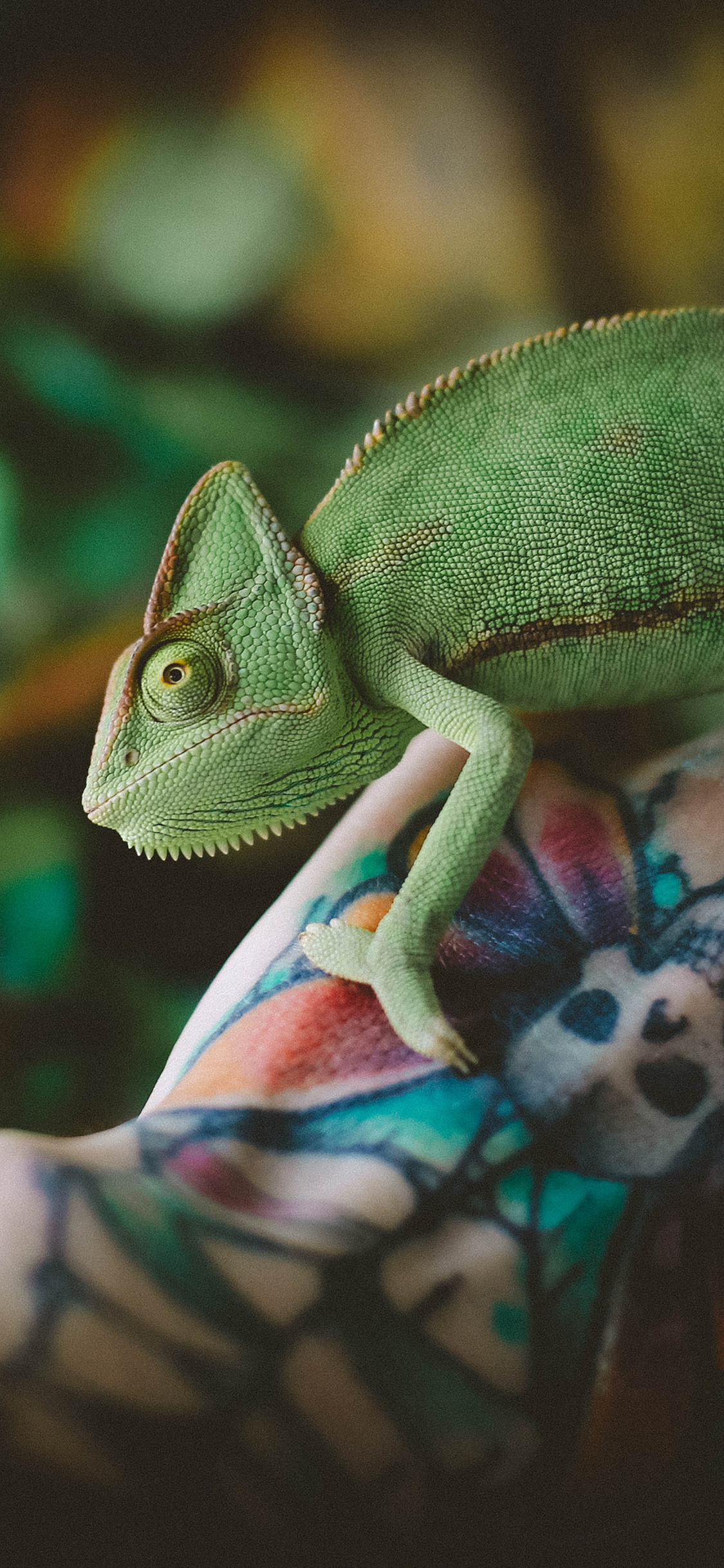 [2436×1125]爬行动物 变色龙 蜥蜴科 绿色 手部纹身 苹果手机壁纸图片